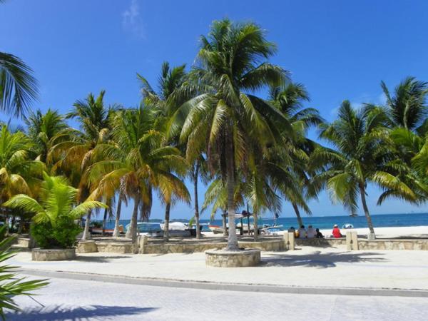 Estrella Del Mar - Condo 101 Isla Mujeres Exteriör bild
